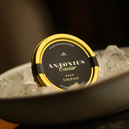 Hotel Zinar Castle Krakau