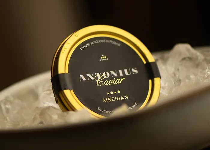 Hotel Zinar Castle Cracovia